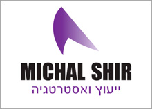 מיכל שיר - בניית לוגו חברת ייעוץ ואסטרטגיה