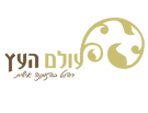 עיצוב לוגו